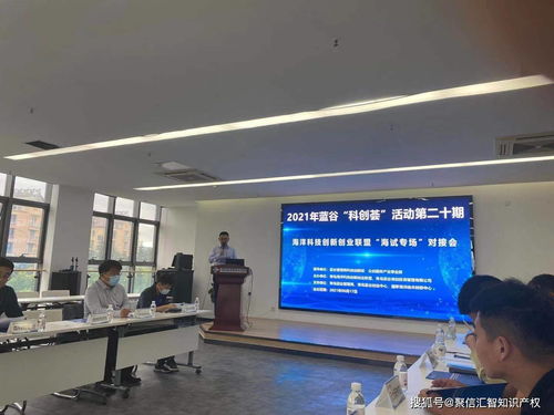 科技创新加速器 信息技术咨询服务的助燃角色